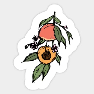 Peach branch sketch Sticker